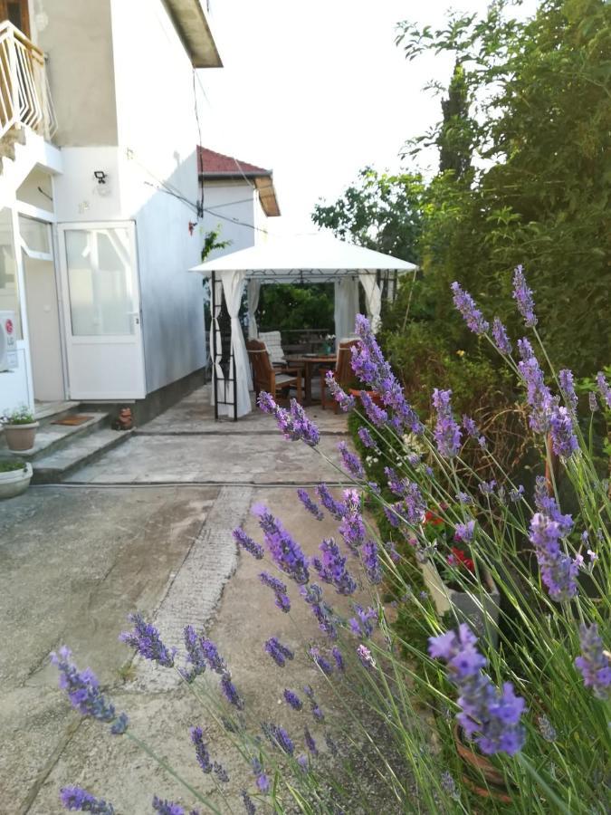Lili Apartment In Zadar Pet Friendly, Free Parking Bagian luar foto