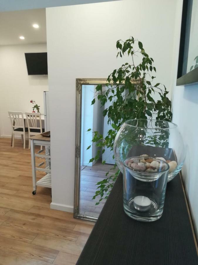 Lili Apartment In Zadar Pet Friendly, Free Parking Bagian luar foto